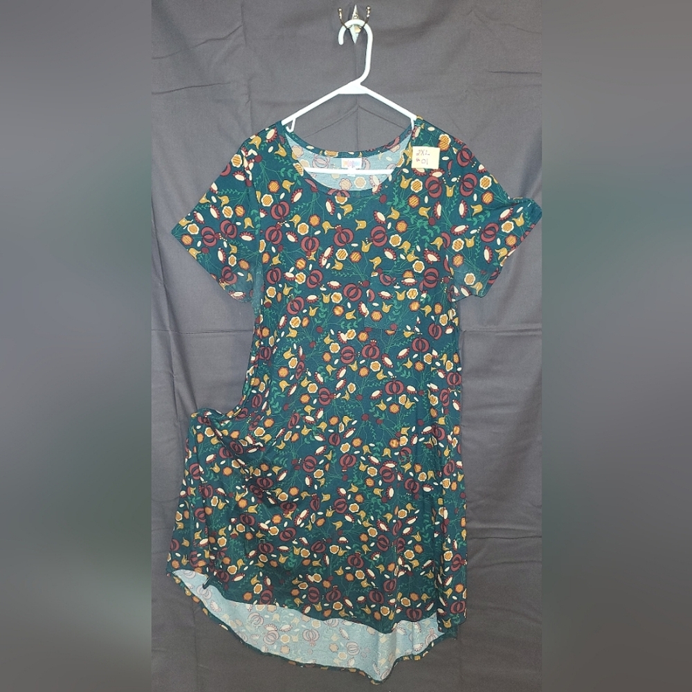 LuLaRoe Carly dress